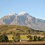 Things to do in the Breede Valley in Winter